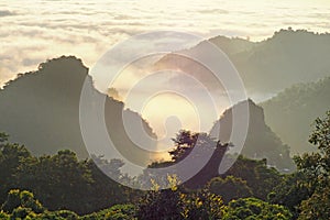 Morning landscape with warm light and mist