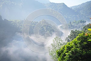 Morning landscape with warm light and mist