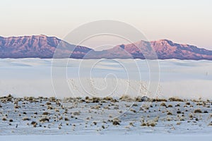 Morning Landscape in White Sands National Park
