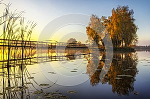 Morning landscape, wooden hunting lodge, on a small man-made island. A wooden platform is coming to the house, birch trees are