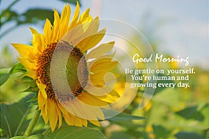 Morning life inspirational quote - Be gentle on yourself, you\'re human growing everyday. Good morning.