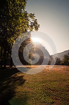 Morning light at an alpine meadow photo