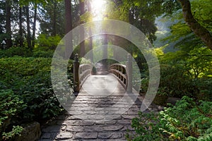 Morning Light on the Bridge