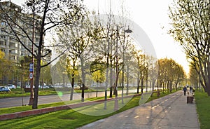 Morning light cityscape in Bucharest Romania