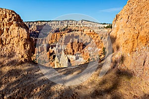 Morning light falls on amphitheatre at Sunrise point in Bryce National Park photo