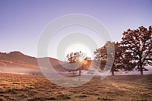 morning light and fog in field with trees and mountains seen from Great Smoky Mountains