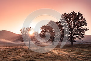 morning light and fog in field with trees and mountains seen from Great Smoky Mountains