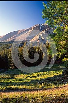 Jeff Davis Peak, Great Basin National Park, Nevada photo