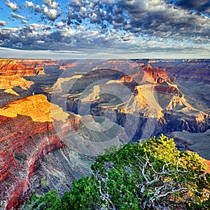 Morning light at Grand Canyon