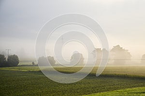 Morning light and ground fog over the grassland at late September in Bavaria, southern Germany