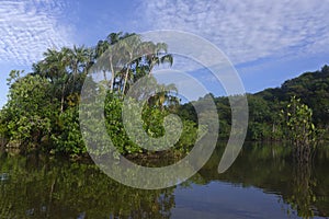 Morning light, Itapicuru lagoon, Para state, Brazil