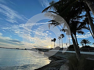 Morning light in Sarasota bayfront, Florida