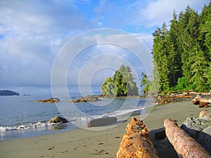 Beautiful Morning Light at Thrasher Cove, West Coast Trail, Pacific Rim National Park, Vancouver Island, British Columbia, Canada photo
