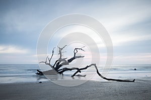 Morning light and waves at Driftwood Beach