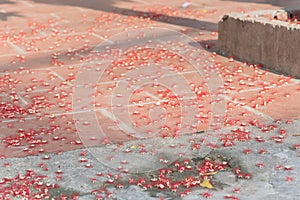 Morning light with white pink fallen barringtonia acutangula flowers on brick paving in Hanoi, Vietnam