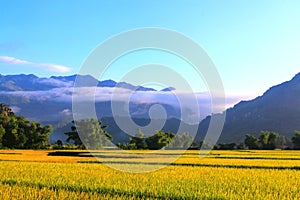 Morning on Mai Chau Valley photo