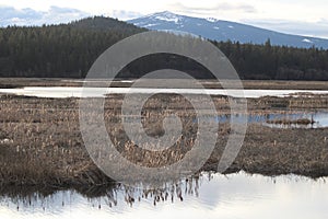 Morning Marsh and Mountains Upper Klamath Lake