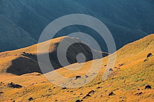 Morning meadow With mountains in the background