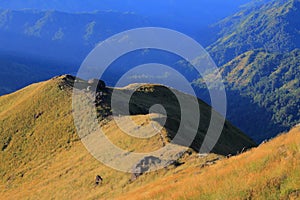 Morning meadow With mountains in the background