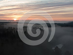 Morning Mist: Aerial View of Enchanting Forest Landscape at Sunrise