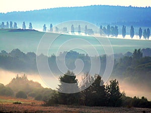 Morning mist- Bohemian forest