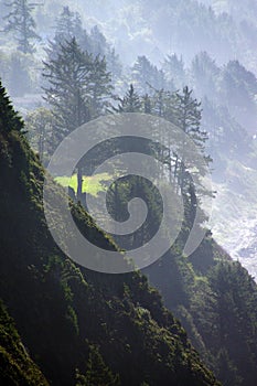 Morning mist on coastal hills