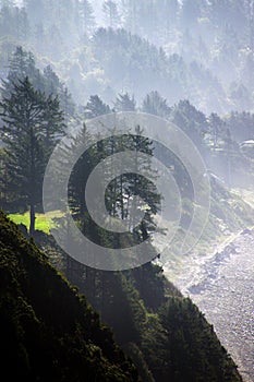 Morning mist on coastal hills photo