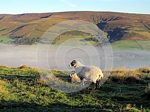 Morning mist in Edale valley.