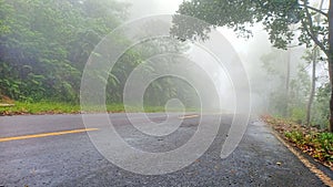 Morning mist in Indonesia`s tropical rainforest