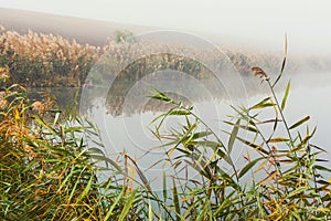 Morning mist on lake