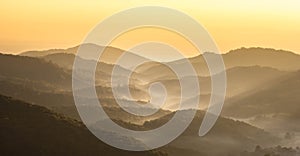 Morning mist landscape.