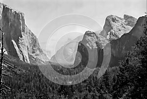 Morning mist Landscape of Yosemite National Park, California U.S.A