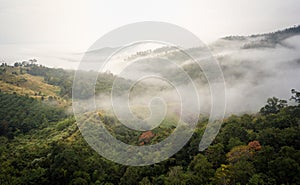 Morning Mist on Mountain with green forest.Taking from Drone