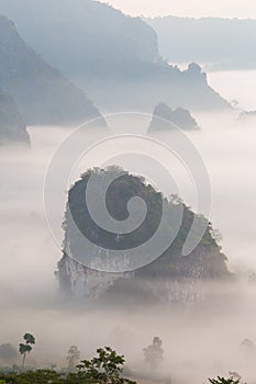 Morning Mist with Mountain