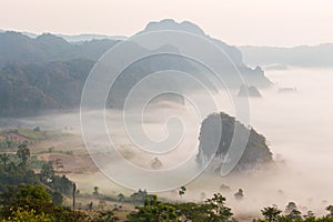 Morning Mist with Mountain