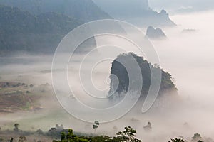 Morning Mist with Mountain