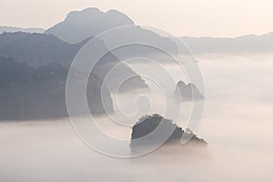 Morning Mist with Mountain