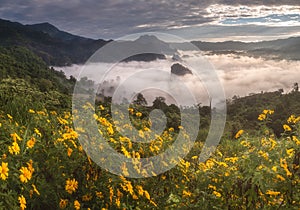 Morning Mist with Mountain Layer Payao Province, Thailand