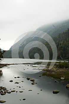 Morning mist on mountain side