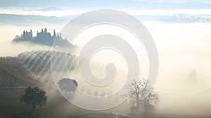 Morning Mist over the Fields and Vineyards