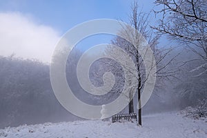 Morning mist over a forest in winter. Hike to hill Velky Inovec in winter.