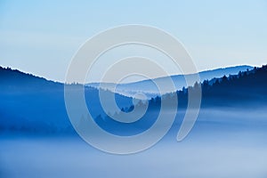 Morning mist over hill landscape in the Beskids, Poland. Blue, cold morning in the forest