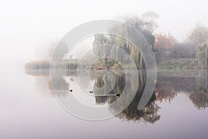 Morning mist over the lake with reflection in the water. Fog on a river