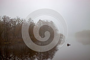 Morning mist over the river. Autumn landscape