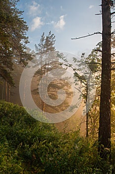 The morning mist rises over the river canyon