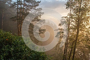 The morning mist rises over the river canyon