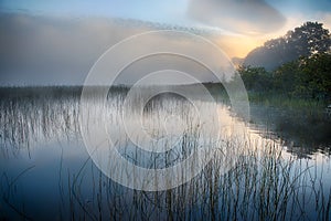 Manana niebla sobre el amanecer 