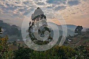 Morning mist surrounding village near Bwindi Impenetrable National Park