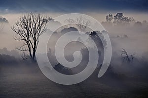 Morning misty landscape in the river valley