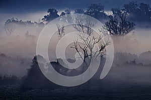 Morning misty landscape in the river valley